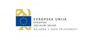 EU_eSocialniSklad_logo