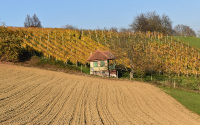 GEOGRAFSKI FOTOGRAFSKI NATEČAJ