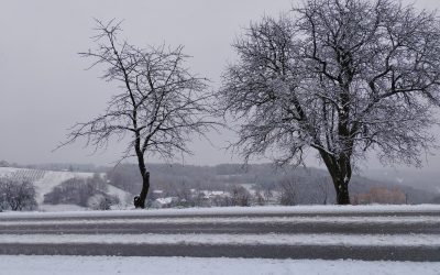 GEOGRAFSKI FOTOGRAFSKI NATEČAJ